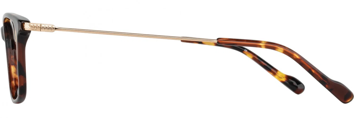 Scott Harris SH912 Eyeglasses - view 8